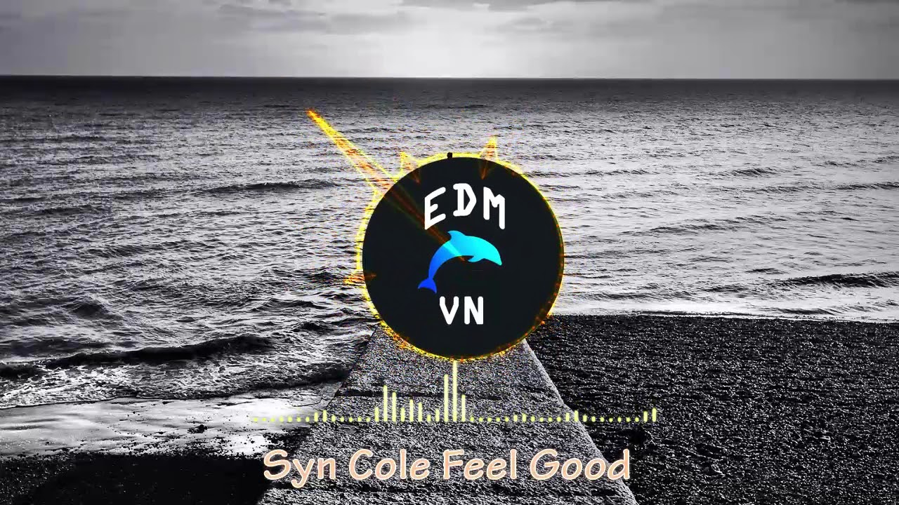 Syn Cole - Feel Good || EDM VN - YouTube