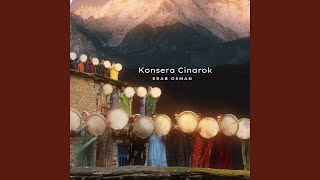 Konsera Cinarok, PT. 8