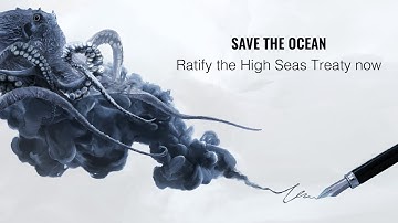 Save The Ocean - Ratify the High Seas Treaty Now