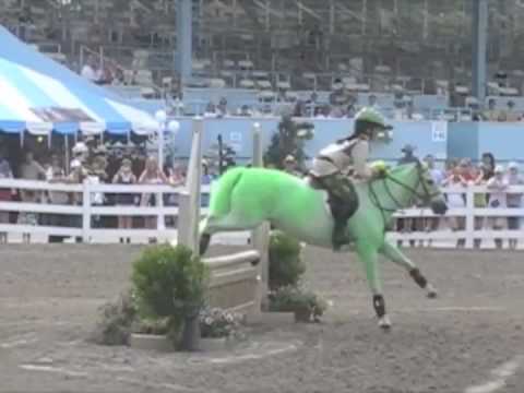 Devon 2010 Pony Hunt Team - Shreck