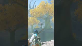 Skill Shot