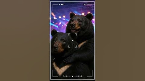 When Bears Get Caught on Coldplay Cam Hugging at a Concert #cuteanimals #cute #ai