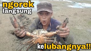 SKILL HEBAT !! MENANGKAP KEPITING JUMBO DI DALAM LUBANG DENGAN TANGAN KOSONG