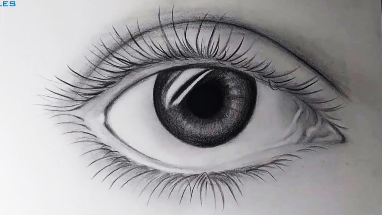 How to Draw a Realistic Eye - YouTube