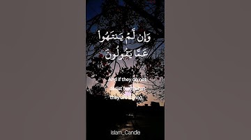 تلاوة حانية تطيب لها النفس من سورة المائدة | القارئ أنس عبدالستار #quran  #اكسبلور #explore