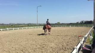 IMG 0981
