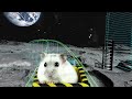 Hamster in roller coaster spaceport  hamsters maze