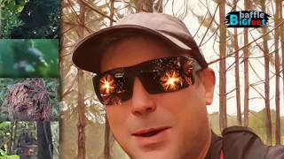 Amazing Florida Bigfoot Sightings on Baffles Trailer