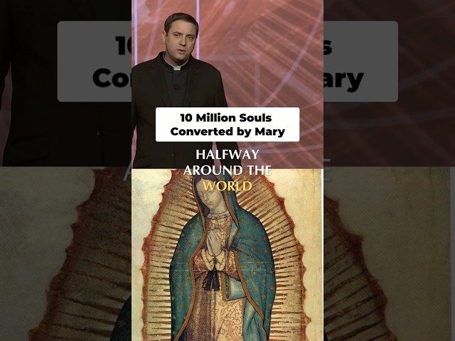 10 Million Souls Converted by Mary | Fr. Msgr. James Shea #seek26