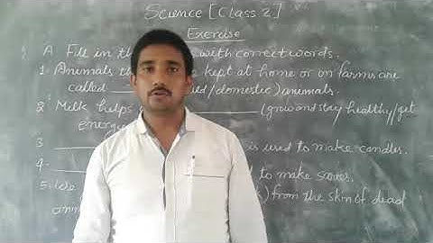 Science Class 2 Unit 2 Animal Life