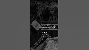 سورة الإخلاص بصوت القارئ ياسر الدوسري أرح سمعك وقلبك 😌♥️ #quran #المصحف #القرآن_الكريم #قرآن#اكسبلور