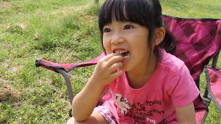 ［説明欄で先行予約］グレープフルーツ【自然栽培】【樹上完熟】【熊本県産】