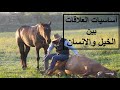 أساسيات العلاقات بين الخيل والانسان