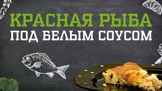 Красная рыба под белым соусом. Дело вкуса 30.11.2018 Красная рыба под белым соусом. Дело вкуса 30.11.2018