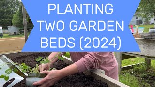 PLANTING TWO GARDEN BEDS 2024 #gardening