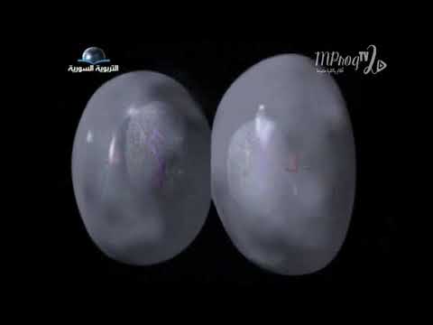 وثائقي أعظم اكتشافت الانسان في علم الاحياء