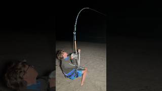 Setting The HOOK On A BIG SHARK ⁉️ #sharkfishing #fishing #tigersharks #sandtigershark #sharklife