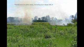 LSFSC webinar 20101216 FirePlantBirdCommunitiesNorthernSedgeMeadowsSeneyNWR