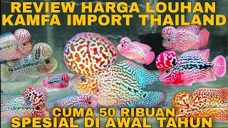 REVIEW HARGA IKAN LOUHAN TERBARU 2024 LOHAN KAMFA IMPORT THAILAND CUMA 50 RIBU Di HARVEY LOUHAN