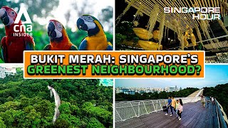 Why Bukit Merah Is A Hidden Gem For Nature Lovers | Singapore Hour
