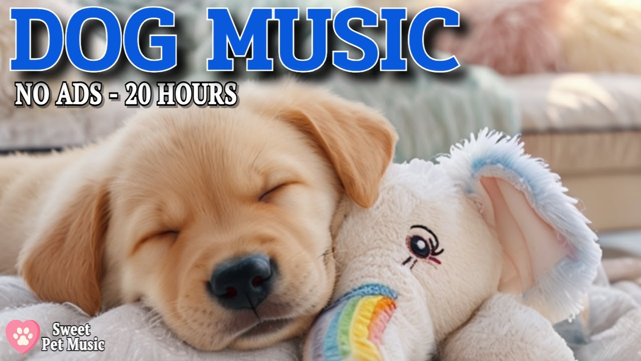 20 Hours of Calming Music for Dogs🦮💖Healing Dog Music for Sleep
