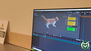 Engineering a Virtual Reality Cat Cafe
