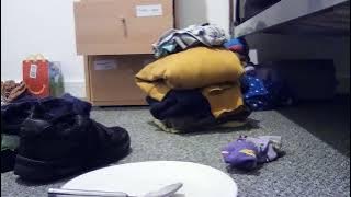 Content Funny MP4 20250916 184113