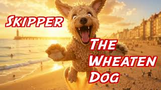 Skipper the Wheaten dog trailer screenshot 2
