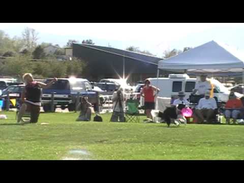 2009 CCC Deb Williamson and Lexi FINALS -- FRISBEE DOG