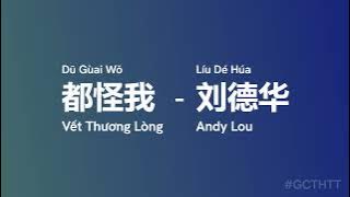 都怪我2 Vết Thương Lòng (Dū Gùai Wǒ) -  刘德华 Andy Lou (Líu Dé Húa) Vet Thuong Long vietsub #gcthtt
