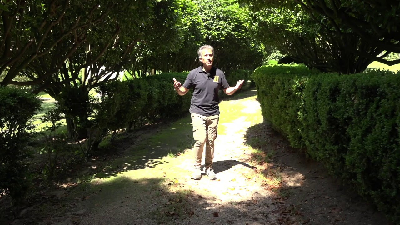 Pazo de rubianes, la ruta de la camelia