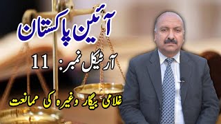 Consution Of Islamic Republic Of Stan1973 Article 11 Muhammad Idrees Awan Adv