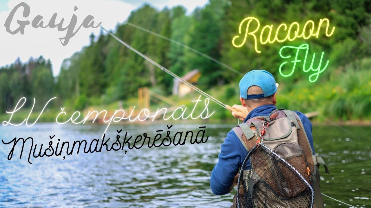 Latvijas čempionāts mušiņmakškerēšanā - Gauja