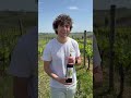 Bart visits Le Bèrne!