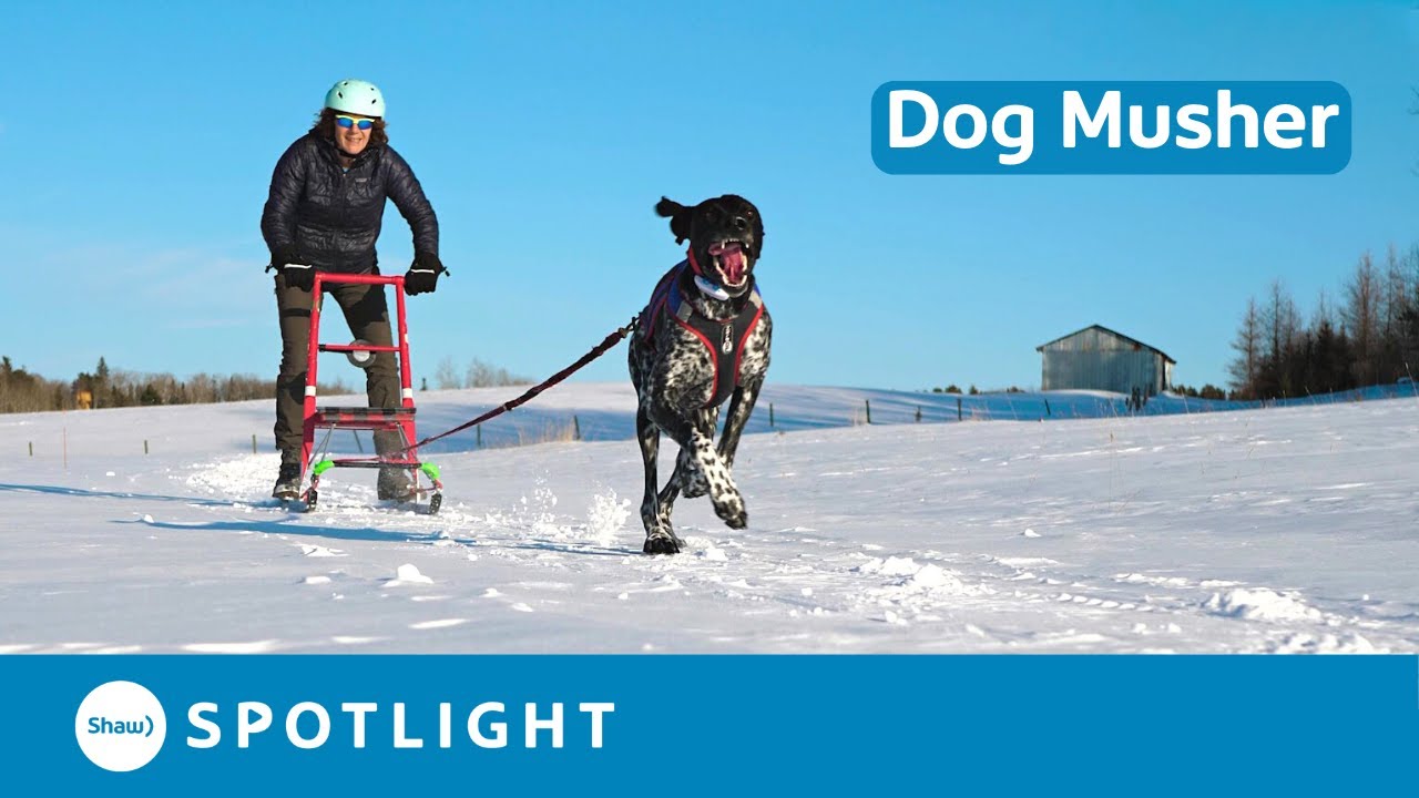 Edie and Smoke's Dog Mushing Adventures on a Kicksled and Bike YouTube