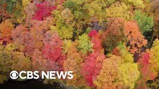 Drone captures stunning fall colors in Minnesota