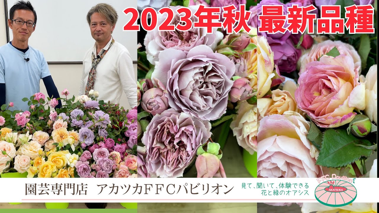 Introducing the latest rose varieties for fall 2023 - YouTube