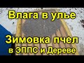 Влага в улье зимовка в ЭППС и дереве