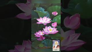 9 Điều Răn Của Hải Thượng Lãn Ông Lê Hữu Trác