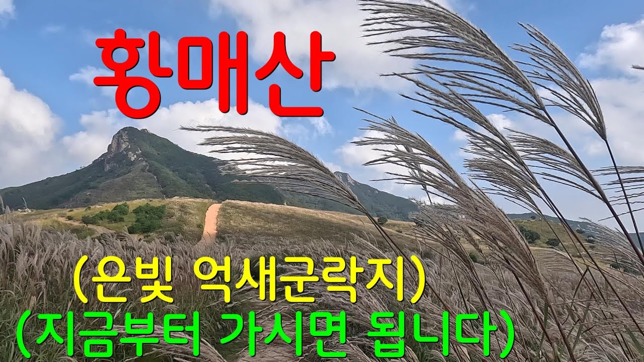 황매산 모산재 원점회귀 코스ㅣ차로 갈 수 있는 억새군락지ㅣ돛대바위,득도바위,순결바위ㅣ바닷가 차박