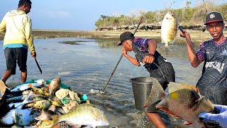 Kejar-kejaran ikan terjebak di air dangkal buat  makan dengan warga pulau