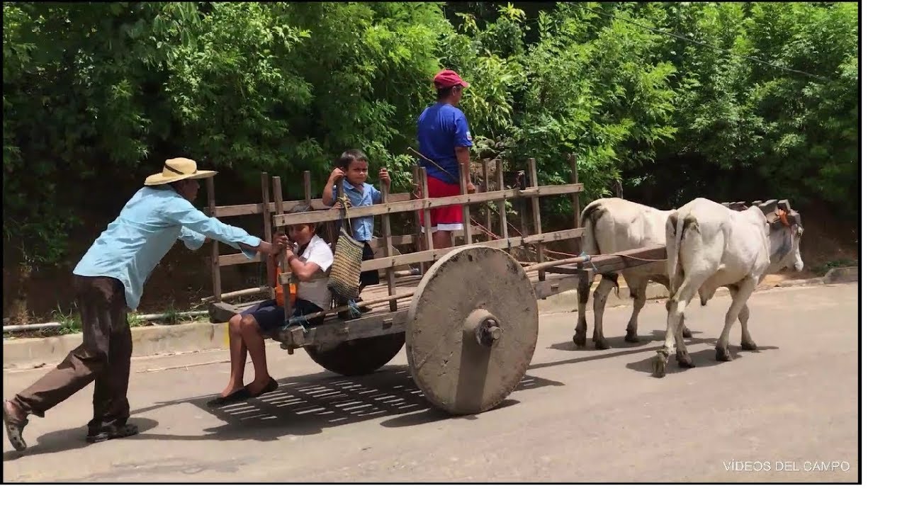 Amansando bueyes ( El Salvador 2017)