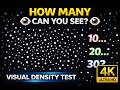 How Many Can You See? 👀 | Visual Density Test (4K)
