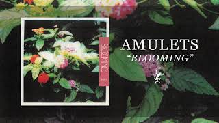 Amulets - Tears in the Fabric
