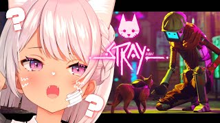 ✦Stray🐈✦　最後まで探しに行こう【にじさんじ/魔使マオ】