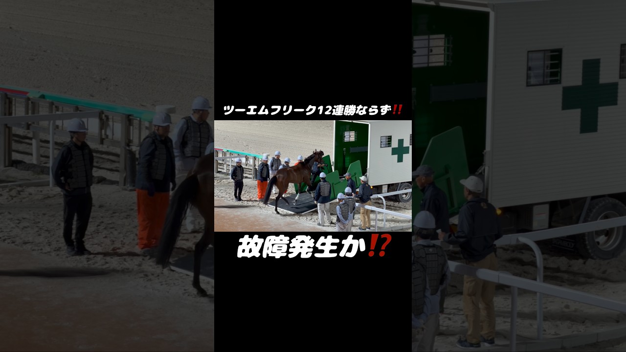 【現地撮影】ツーエムフリーク12連勝ならず‼️#shorts #競馬 #horse