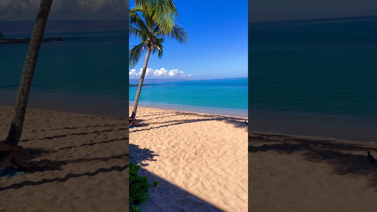 📍Napili Bay Beach 🏖️ Maui, Hawaii 🌺 