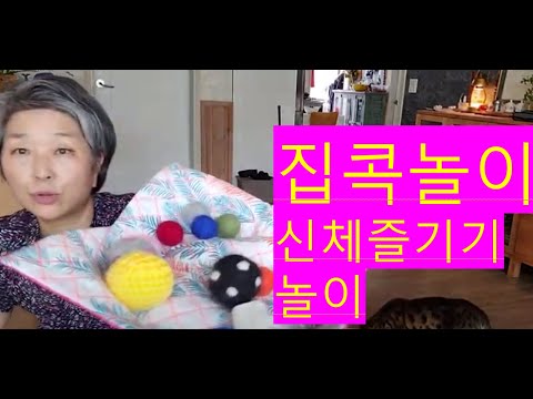신체 즐기기 놀이