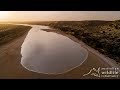 Kalamurina Wildlife Sanctuary | Floodwaters and rain deliver an ecological boom in the desert