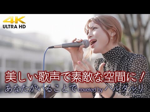 【 歌うま 】美しい歌声で素敵な空間に！　あなたがいることで / Uru（ covered by ハルタルリ ）4K映像